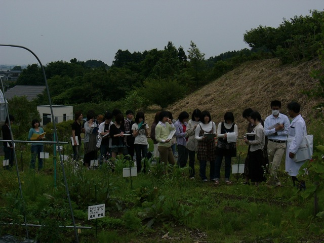Loading Image
