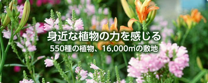 身近な植物の力を感じる50種の植物、16,000?の敷地